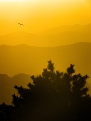 A4B606D1-91CF-4B24-B412-F8E07060DA02/L0/001