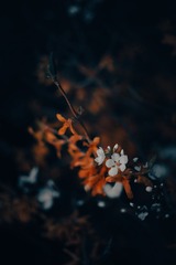110405