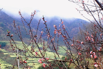 11D13EB1-5504-40E9-97A0-6F27B9F087E1/L0/001