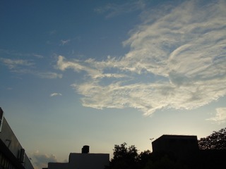 00D80C9D-09CE-4E06-9114-1649E85EFA74/L0/001