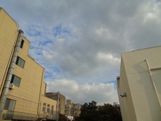 826305E4-5970-4A6E-B098-6A203D27C75E/L0/001