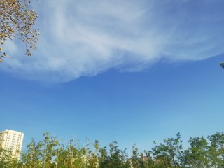 3450013