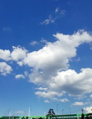 3595827
