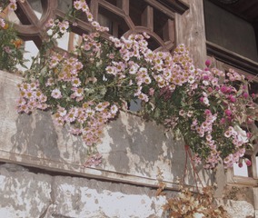 8A395170-204F-4E2F-9164-9713FC6CF7D1/L0/001