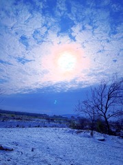 F381C38A-16BD-4E90-B046-3EBFA3D72DA4/L0/001
