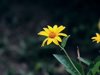 1000057447