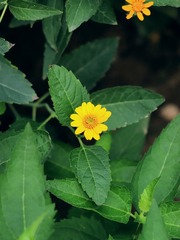 1000057451