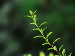 1000062148