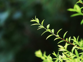 1000062151