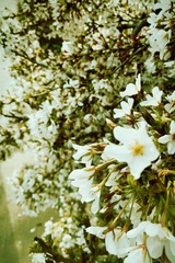 2C327AB9-E3E5-434A-B06C-62EE131BA69F/L0/001