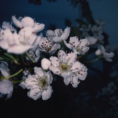 BA3C98D2-C6EB-4E5C-BB7A-2F7657BE7C4F/L0/001