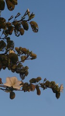 DE4E93E0-DE0F-4286-B0C6-CCA9602CD9AB/L0/001