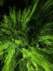 060A3020-0A04-42CA-9B48-33D2FAC54E62/L0/001