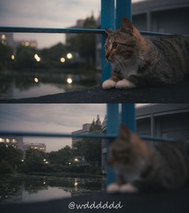 1292944