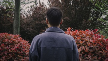 1204148