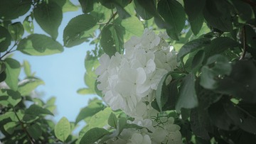 1240585