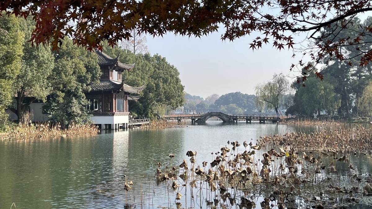 西湖十景之曲院风荷 - 小明hz - 图虫