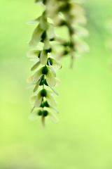 CD69B76D-287B-4FB7-B1A0-79D0F6C56E29/L0/001