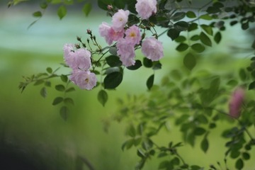 D7F38BBA-894F-41F0-8394-191FFE0640F7/L0/001