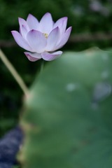 53BEE9C6-AB75-4D75-B93A-A574593D8946/L0/001