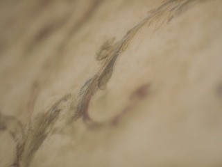 P7120202