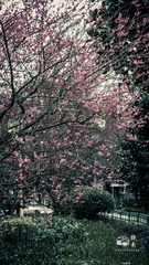 D400CD86-A4BE-418D-B198-FB68089C5AD2/L0/001
