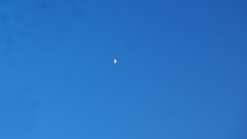 1556723