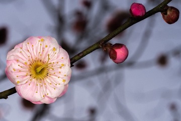 A3594605-89FB-477D-9AB3-D6E1F808FDFE/L0/001