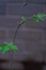 4BD5C0AE-56F0-4347-A2D8-CA7F202603C2/L0/001