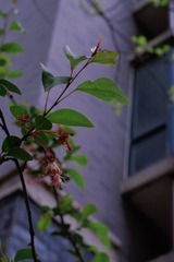51F242A3-8B18-4D49-99B7-092D8F34DA1C/L0/001
