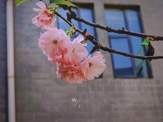 4E689B4A-D5D0-4D0B-9A6D-76D5855A838E/L0/001