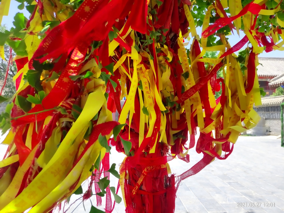 祈福树会带来好运的