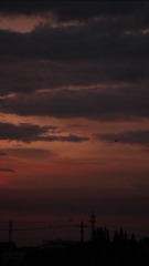 7901A39D-DD0C-42CC-9E12-ED575754807C/L0/001
