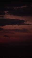 E1106BCB-CFF2-44A4-A785-39DE4461D3D1/L0/001