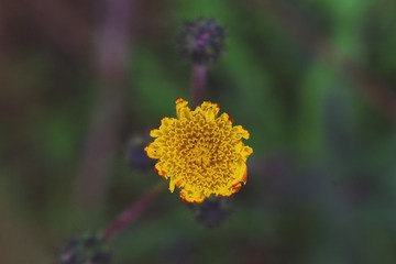 012075F8-B7D4-4747-80D1-B46B0D8FAC87/L0/001
