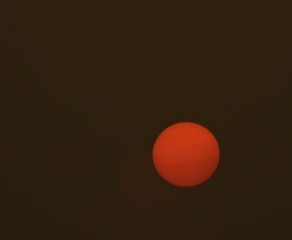 CC5389C8-B4F5-40BD-84CB-471422D604E9/L0/001