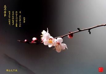 C02CEF7F-83CB-4A4D-B06D-A93183F8BB95/L0/001