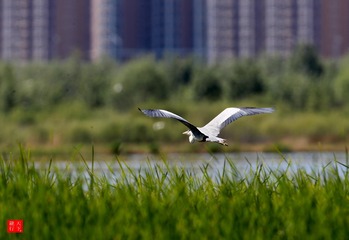 B55476AC-22A8-476C-8F37-0B4E4A366F8E/L0/001