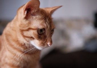 8041