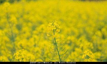 历史整理-20