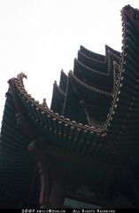 历史整理-31