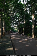 历史整理-40
