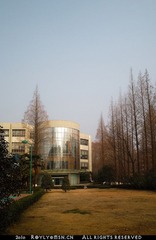 100103-DP1S杂片-1