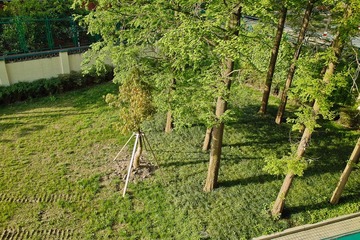 SDIM0815.jpg