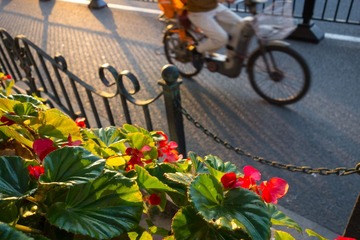 20120929RX100-6.jpg
