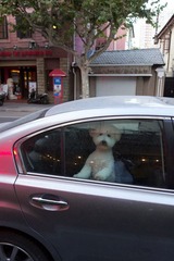 DSC00450.jpg