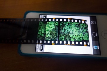 FILE0684.jpg