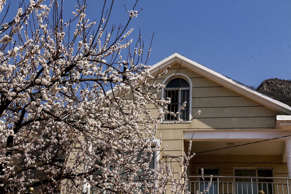 乡村风光,房子,春天花开了