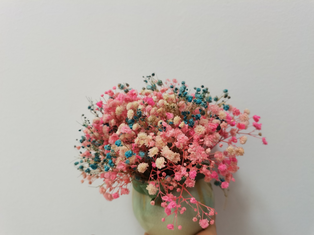 最喜欢满天星的小花花团簇拥的样子让人心情都变好了