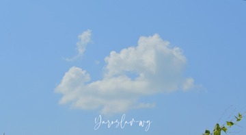 0A0E3464-3FBD-4F1C-9EA7-7323C70D35DE/L0/001